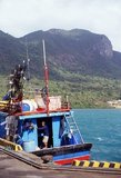 The Con Dao Islands (Vietnamese: Côn Đảo) are an archipelago of Bà Rịa–Vũng Tàu Province, in southeastern Vietnam, and are a district of this province. Situated at about 185 km (115 mi) from Vũng Tàu and 230 km (143 mi) from Hồ Chí Minh City (Saigon), the group includes 16 mountainous islands and islets. The total land area is 75 sq km, and the local population is about 5,000. The island group is served by Cỏ Ống Airport.<br/><br/>

The archipelago was formerly known as Poulo Condore, and it is mentioned under a variant of this Malay name by Marco Polo in the early 14th century. On June 16, 1702, the English East India Company founded a settlement on the island of 'Pulo Condor' off the south coast of southern Vietnam, and on March 2, 1705, but the garrison and settlement were later destroyed during a mutiny by the Malay mercenaries employed by the English.<br/><br/>

The largest island is Côn Sơn Island (also known as Con Lon Island), infamous for its numerous prisons - eleven in all -  built by the French colonial government. It was also used as a prison island after independence in 1954, by the pro-Western Republic of Vietnam regime, acquiring a fearsome reputation for isolation and brutality as well as - conversely - functiong as a de facto insurgent 'university', where many leading nationalist and communist Vietnamese were imprisoned.<br/><br/>

In 1984, the archipelago became a protected area, Côn Đảo National Park, which was subsequently enlarged in 1998. Endangered species protected within the park include the hawksbill turtle, the green turtle and the dugong. Ecosystems represented in the park include seagrass meadow, mangrove and coral reefs.